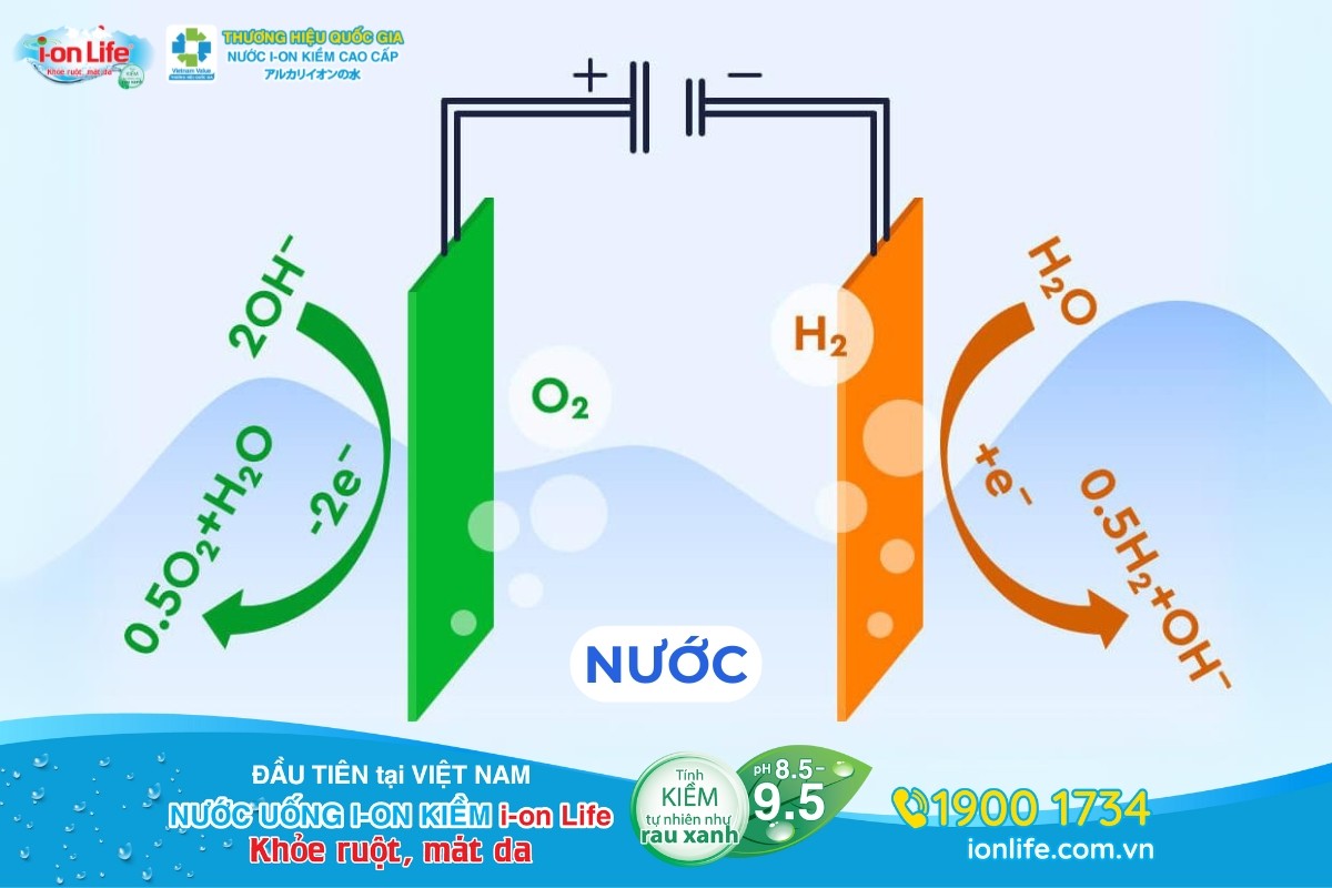 Phân tử nước tách thành ion chia thành 2 cực âm và dương