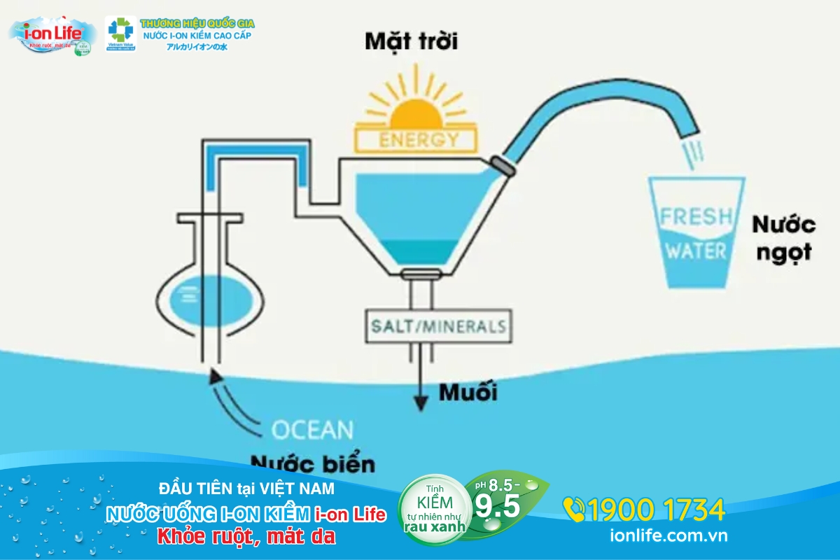 Chưng cất tách sạch vi khuẩn, kim loại nặng và tạp chất khó xử lý